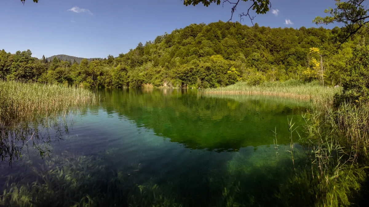 Lake in Plitvice Lakes National Park, Croatia; 24 July 2018